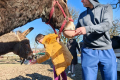 WhatsApp-Image-2026-02-27-at-09.59.34-1