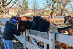 WhatsApp-Image-2026-02-27-at-09.59.34