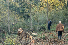 IMG-20241119-WA0107