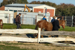 IMG-20241119-WA0108