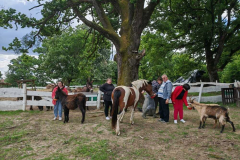 7mIARr82zgiBmxlHm8ov0m9qnEmmCsEntEKO07NySbE_plaintext_638844567254006642