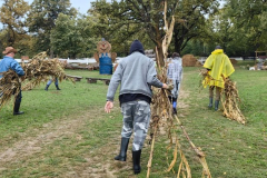 WhatsApp-Slika-2024-10-01-u-08.29.18_952365df