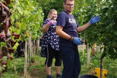 WhatsApp-Slika-2025-10-01-u-10.31.33_ae1870f1