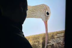 1b331226-0118-47d2-8057-13fd7dc86ed9