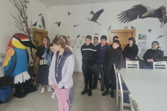 5ed71ace-ea62-46ed-96c2-fd0aa91845bf