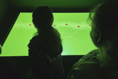 6b4dce28-5bac-4477-8563-c8588617bd12