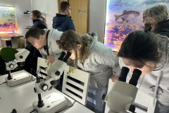 ecde9d07-c03e-43ed-8f27-10ace1c25a9c