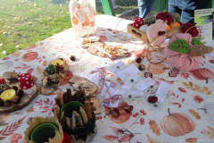 IMG_4226_1024x683