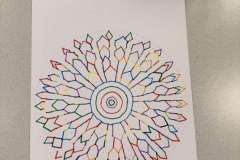 IMG_8252-1152x1536